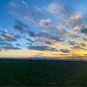 Meet your Posher, Anna.